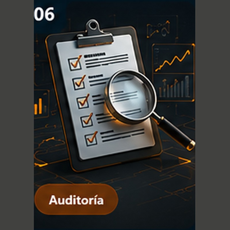 Qué puede detectar una auditoría informática